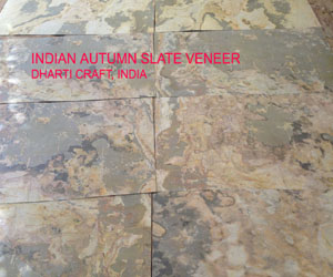 Veneer  Indian Autumn